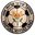 Home team logo