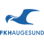 Хаугесунн logo