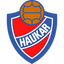Haukar Hafnarfjörður logo
