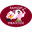 Home team logo