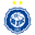 Home team logo