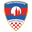 Home team logo
