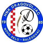 HNK Dragovoljac Novo Selo logo