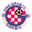 Home team logo