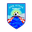Home team logo