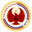 Home team logo