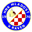 Home team logo