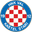 Home team logo