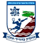 Holon HC logo