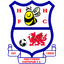 Holyhead Hotspur FC logo