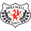 Holywell Town FC logo