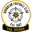 Home team logo
