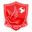 Home team logo