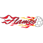 HSG Bensheim/Auerbach Flames