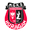Home team logo