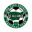 teamLogo