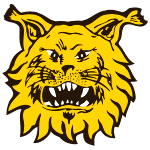 Ilves Tampere logo