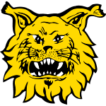 Ilves U20