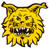 Ilves