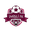 Home team logo