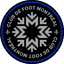 CF Montreal logo