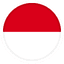 Indonesia logo