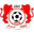 Home team logo