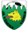 Home team logo