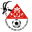 Home team logo