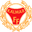 Home team logo