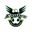 Home team logo