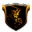 Home team logo