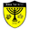 Away team logo