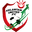 Home team logo