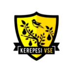 Kerepesi VSE