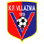 teamLogo