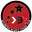 Home team logo