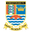 Home team logo