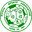 Home team logo