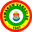Home team logo