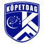 teamLogo