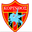 Home team logo