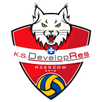 Developres Rzeszow logo