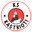 Home team logo