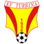 Turbina Cerrik logo