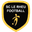 Home team logo