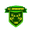 Home team logo