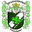 Home team logo