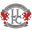 Home team logo