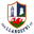 Home team logo